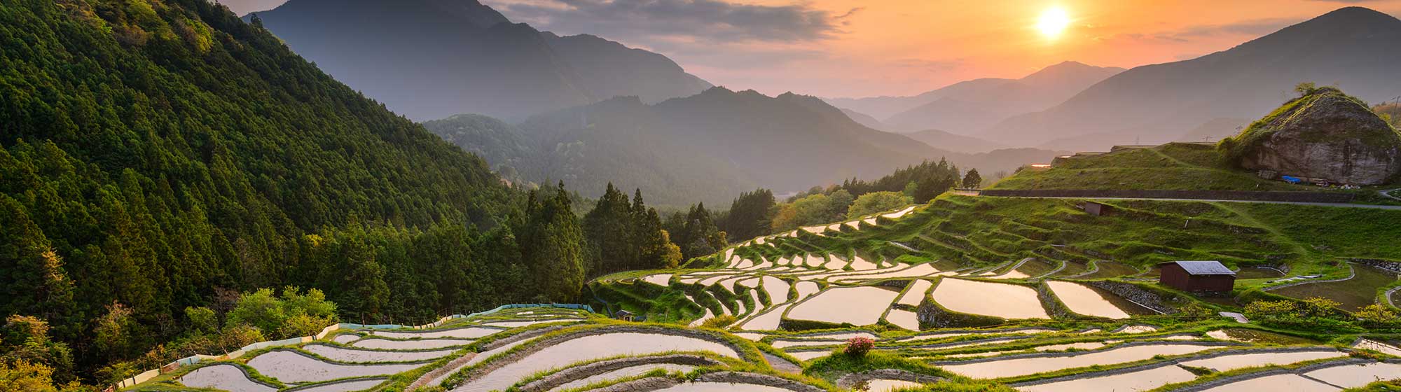 Coucher de soleil sur les rizières, enveloppées dans un voile de brouillard masquant les montagnes