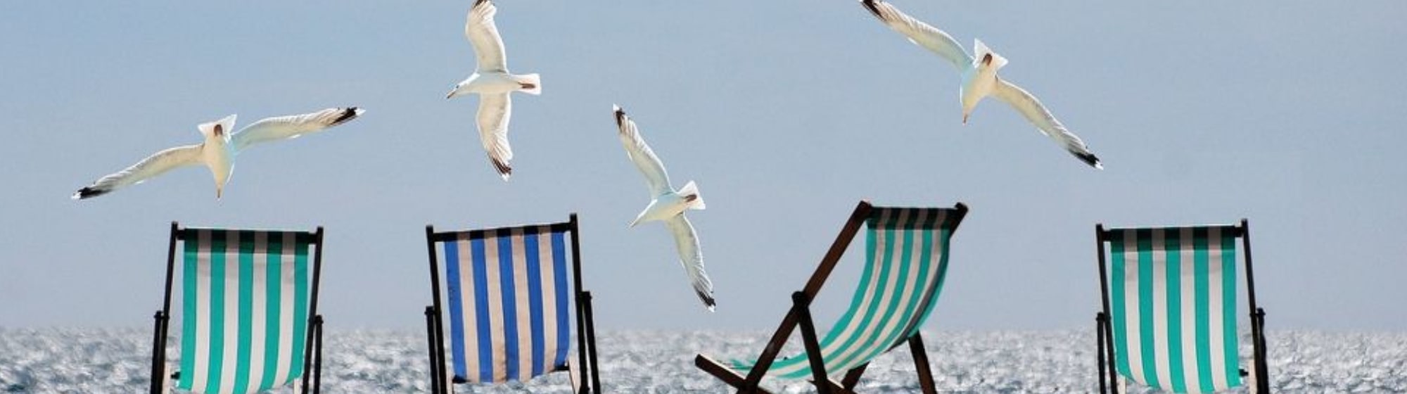 Des oiseaux volant dans le ciel
