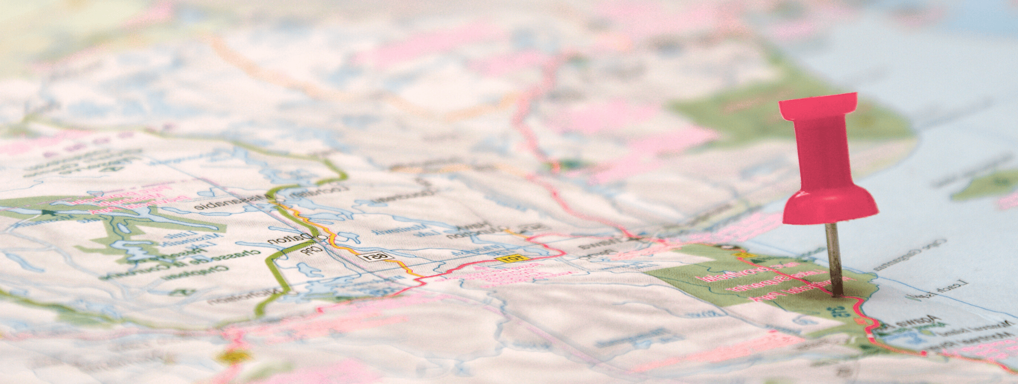 une punaise sur un plan