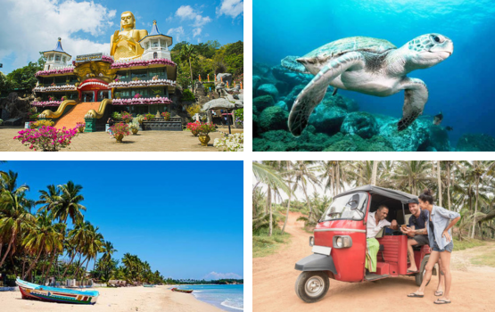 Photo montage de quatre photos représentant un temple sri lankais, une tortue, un tuk tuk et une île paradisiaque. 