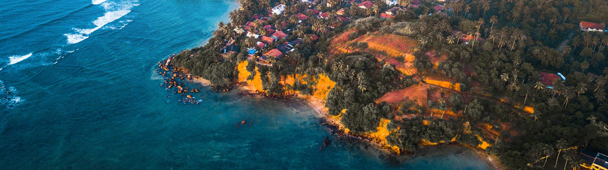 Photo paysage de la jungle sri lankaise. 