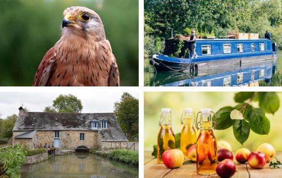 4 photos illustrant la faune de la région, une péniche sur le canal et le patrimoine.