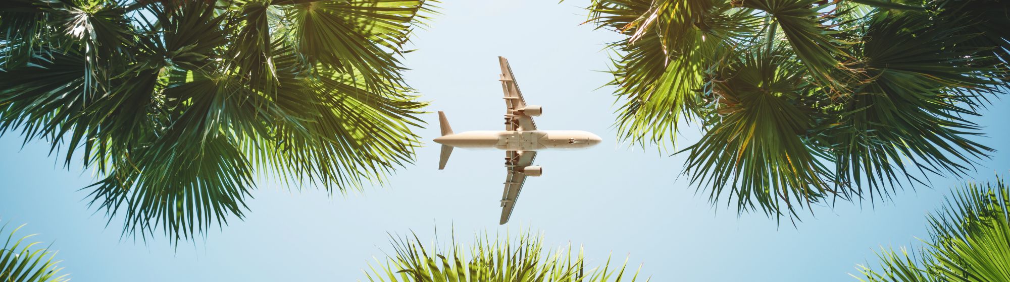 Un avion dans un ciel bleu avec des palmiers. 