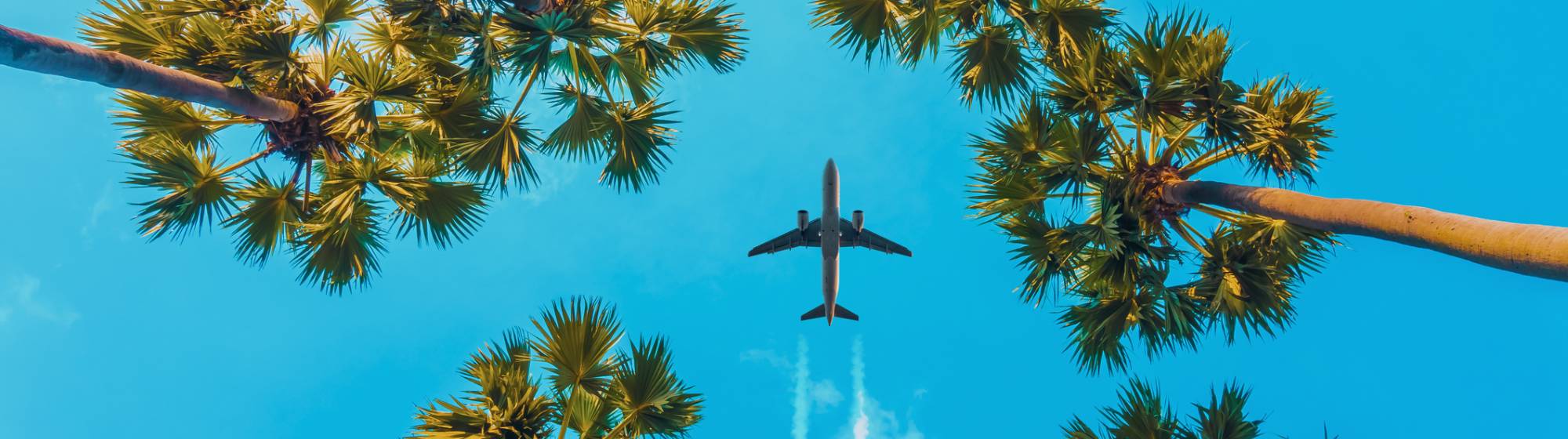 un avion dans le ciel bleu