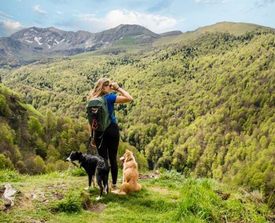 deux chiens et leur maître au sommet d'une montagne