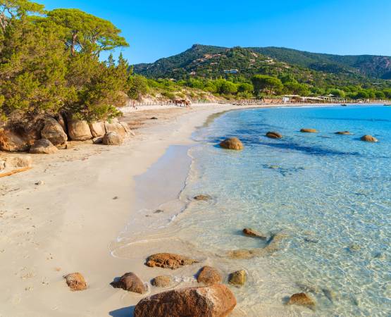 une plage de sable fin et eau turquoise