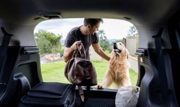 Un chien et son maître au coffre d'une voiture