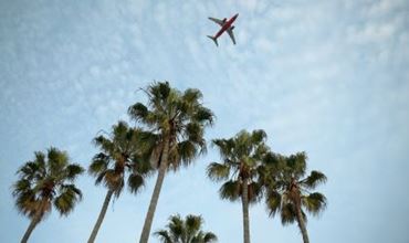 Un avion dans un ciel bleu avec des palmiers. 