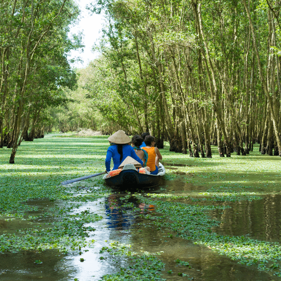 une barque sur l'eau dans la forêt