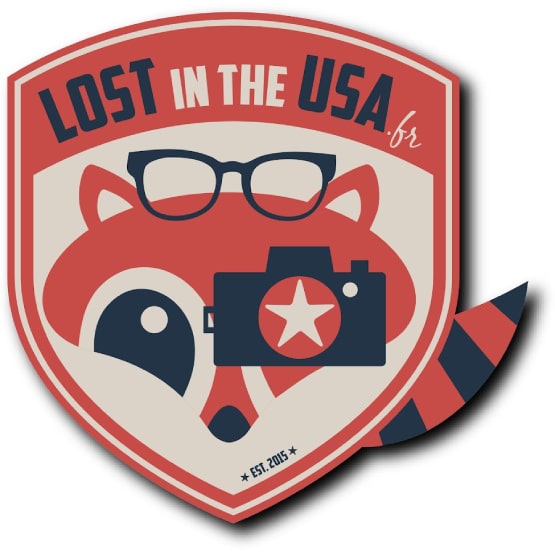 Le logo Lost in the USA