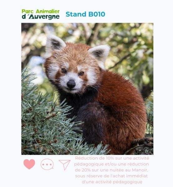 Offre spéciale du parc animalier d'Auvergne : Réduction de 10% sur une activité pédagogique et/ou une réduction  de 20% sur une nuitée au Manoir,  sous réserve de l'achat immédiat  d'une activité pédagogique
