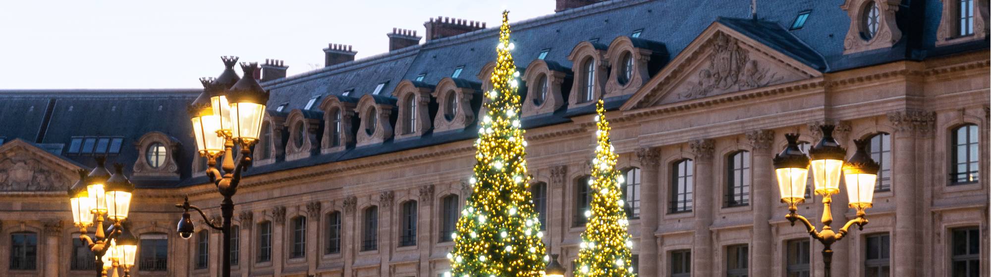 des sapins de noël devant un palais