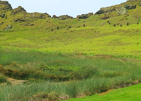 La plaine de l'île de Pâques