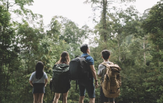 Une famille en arndonnée dans une foret. 