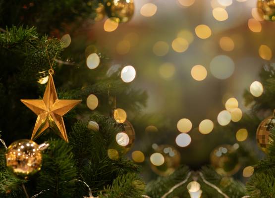un zoom sur une étoile sur un sapin de noël