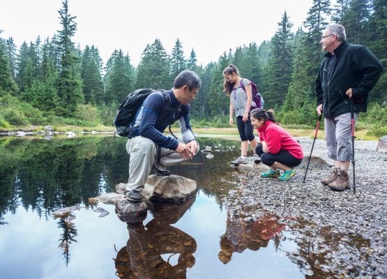 4 personnes qui analysent l'eau dans une forêt