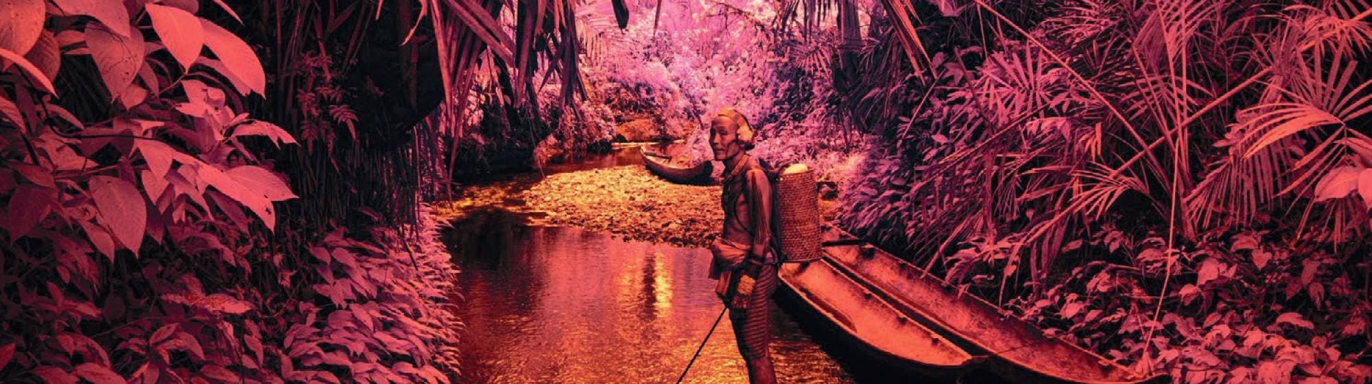 une femme au milieu de la jungle