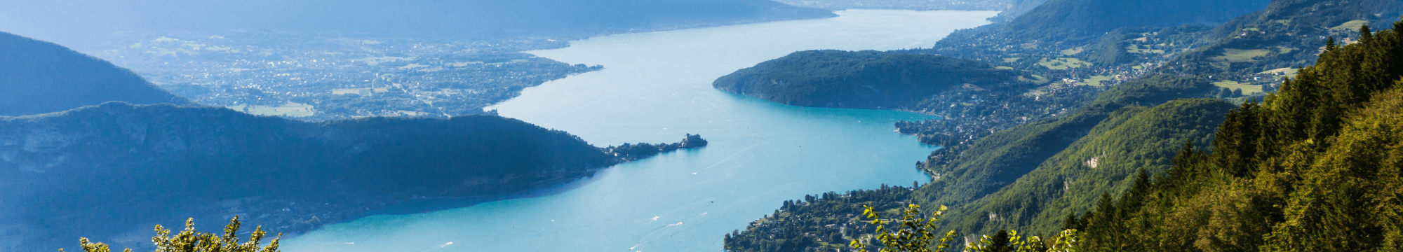 Paysage d'un lac entouré de fôrets