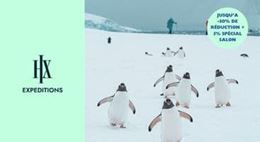 une offre promotionnelle pour HX Expeditions (voir des manchots) 