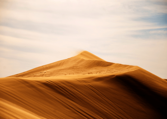 Le desert