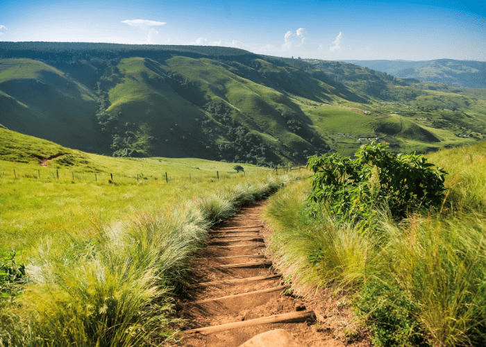 Un sentier dans les champs