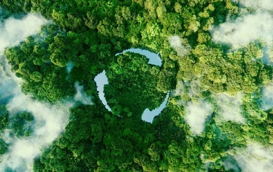 Image d'une foret prise de haut, avec au centre le symbole de l'ecologie.