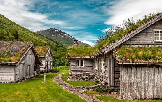 Différentes cabanes face à face au milieu de la nature.