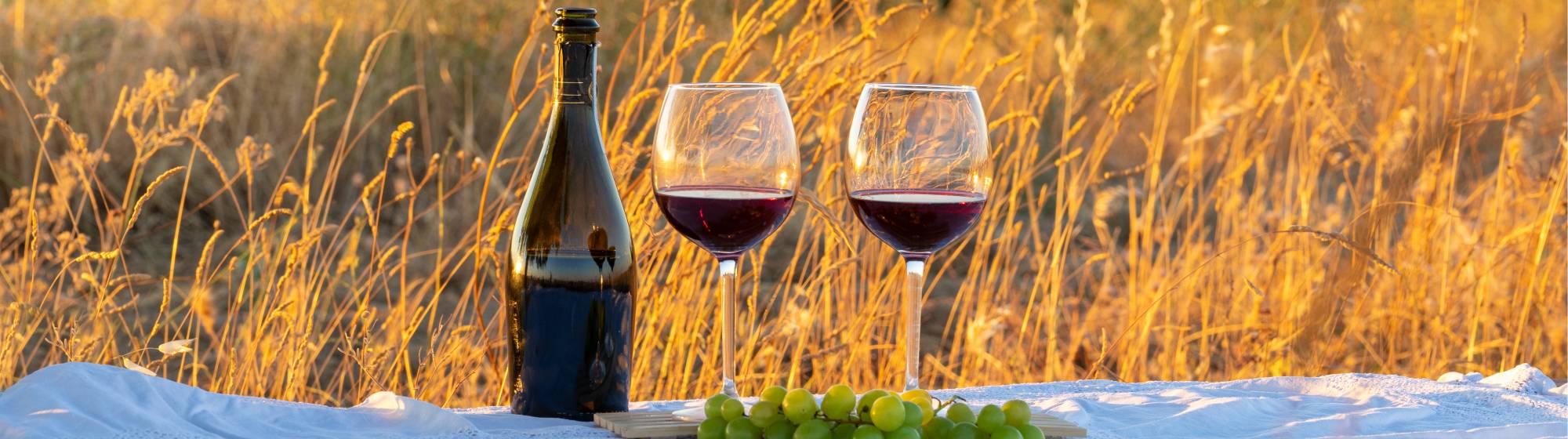 Deux verres de vins avec une bouteille de vin rouge au milieu des champs. 