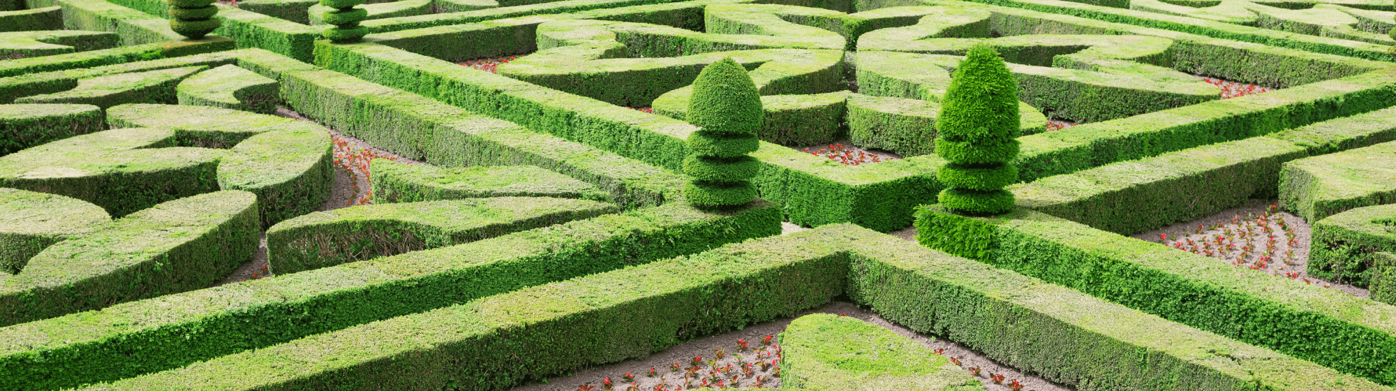 Le jardin du château de Villandry, le jardin à la Française dans toute sa majesté 