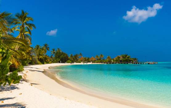 Plage paradisiaque aux Maldives