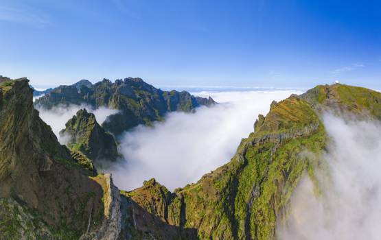 Photo prise en altitude, dans les montagnes, en été avec de la verdure, mais avec du brouillard ce qui done l'impression d'être dans les nuages.