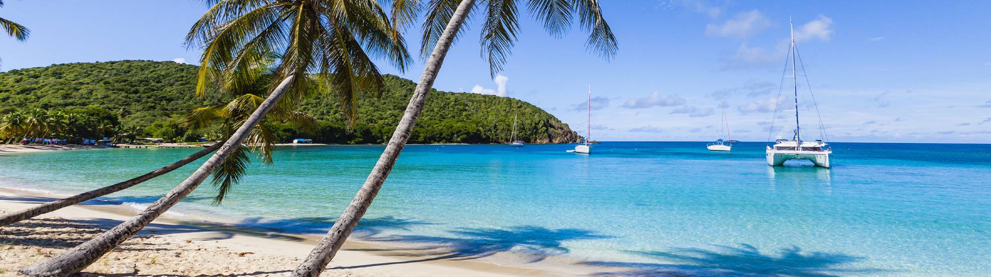 Image d'une plage paradisiaque avec une eau turquoise et un dégradé de bleu  sur laquelle il y a un catamaran. 