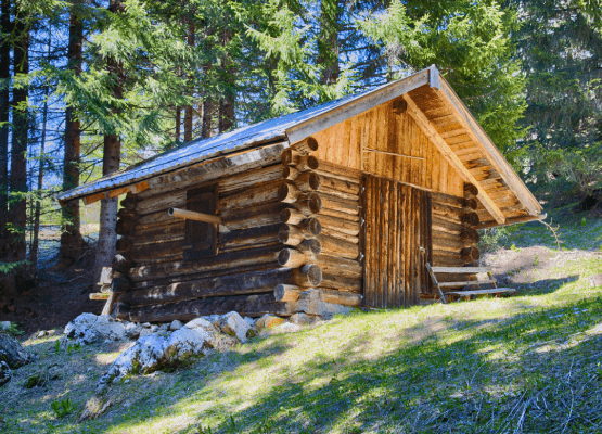 cabane en bois au milieu d'une forêt de pin