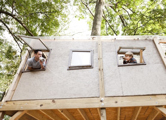une cabane dans la forêt avec 2 personnes qui regardent par la fenêtre
