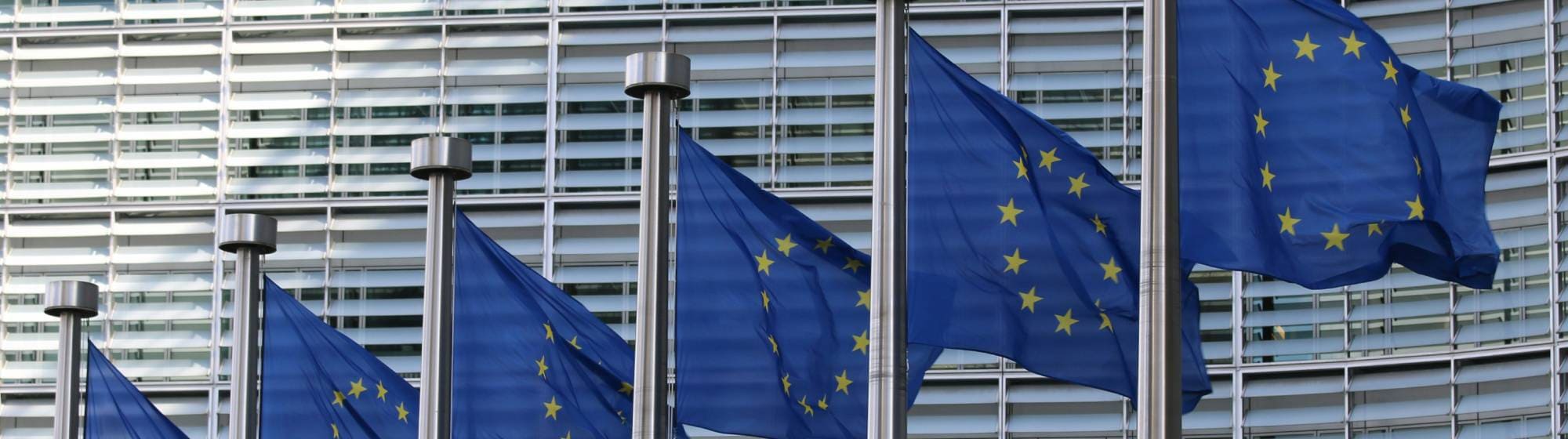Drapeaux de l'Europe