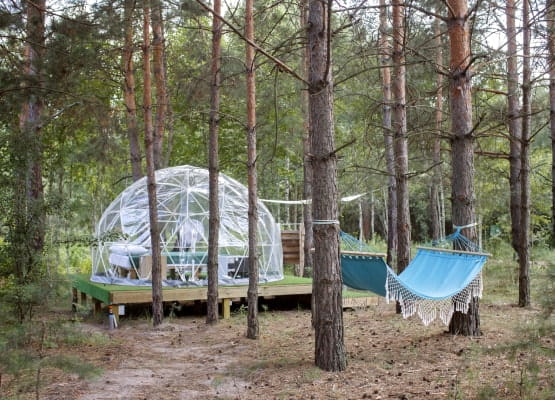 un logement en bulle dans la forêt