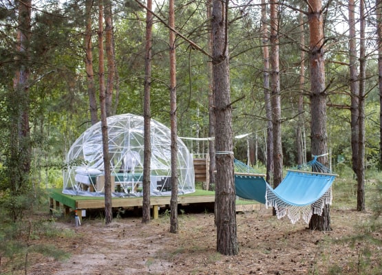 un logement en bulle dans la forêt
