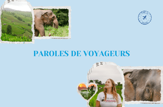 Différentes photos d'elephant voyageur, influenceuse qui a voyagé en Thailande. 
