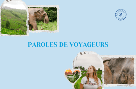 Différentes photos d'elephant voyageur, influenceuse qui a voyagé en Thailande.